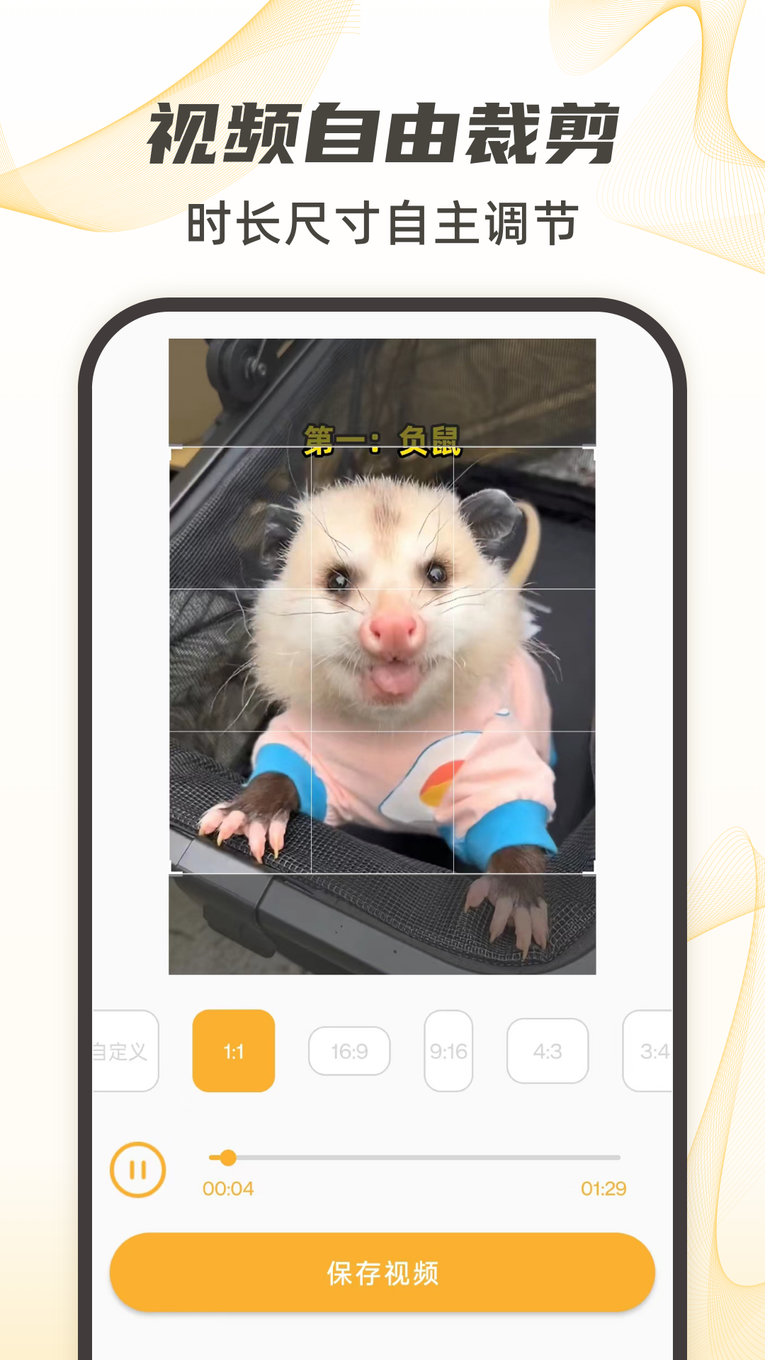 视频下载去水印截图