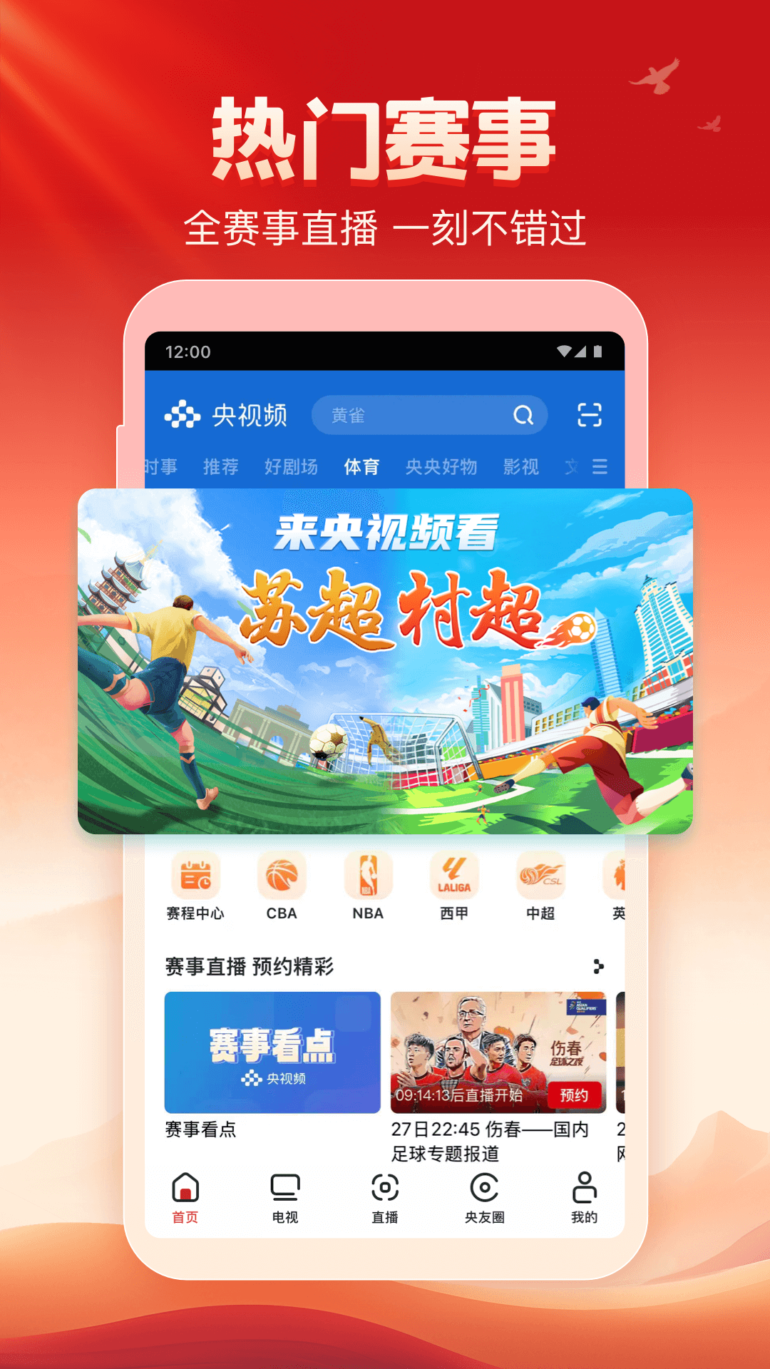 央視頻截圖