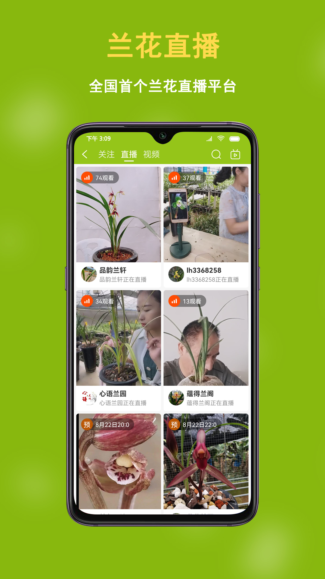 中国兰花交易网截图