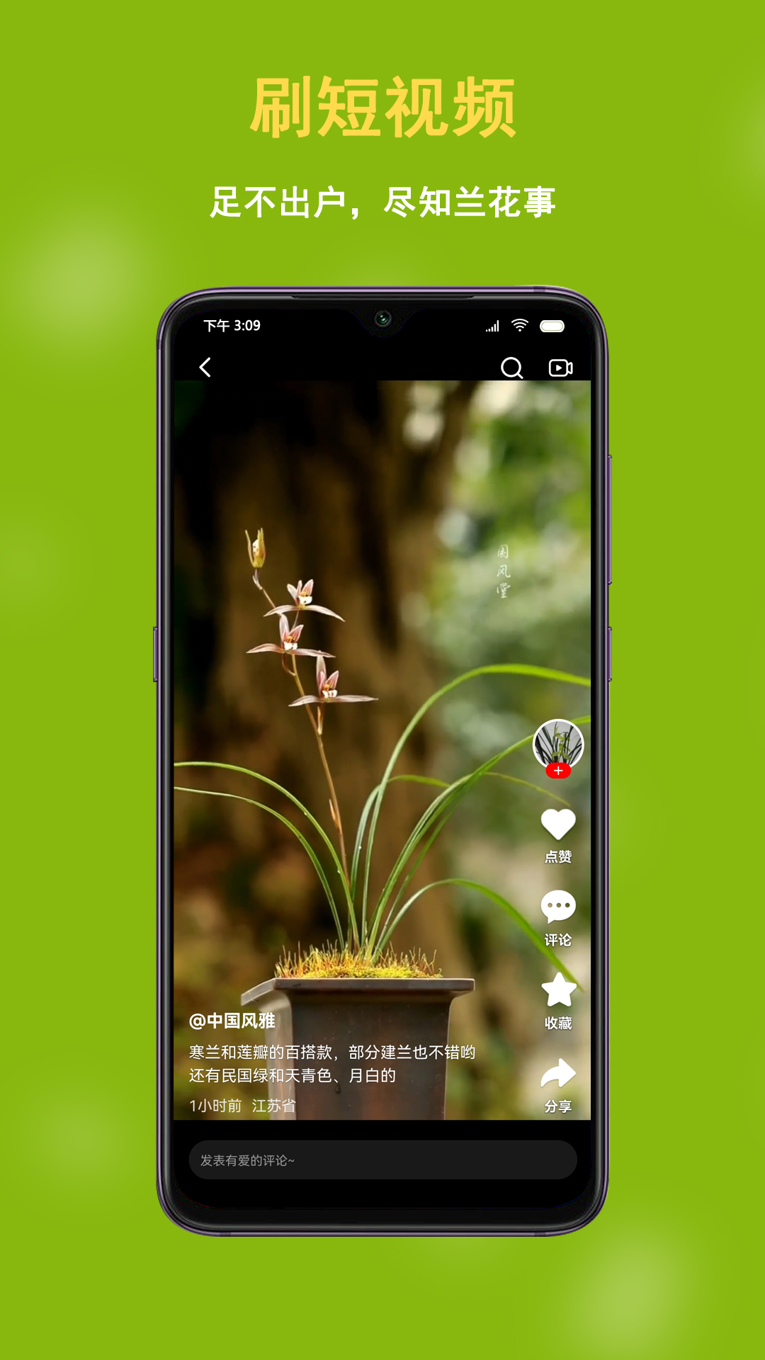 中国兰花交易网截图