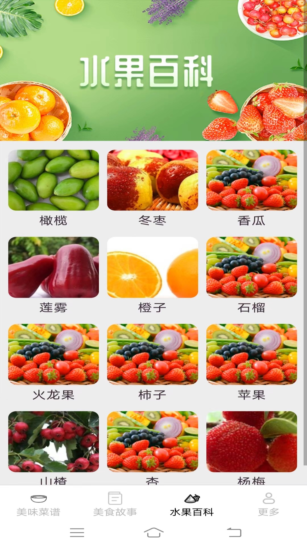 美味天天点截图