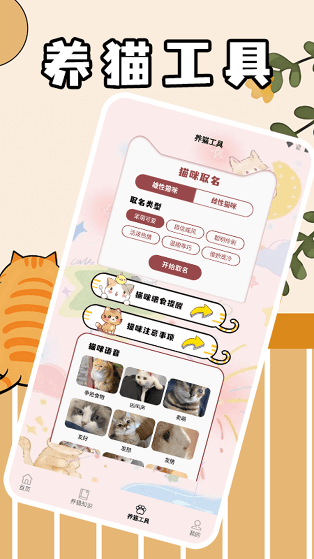筑梦猫舍极速版截图