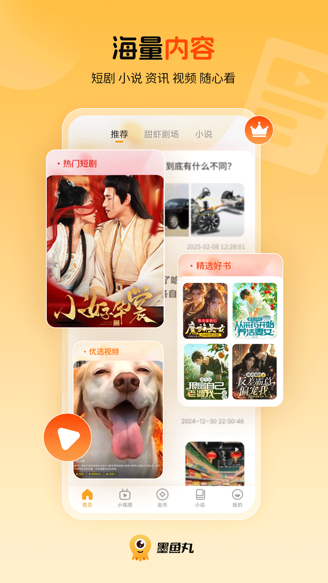 墨鱼丸截图