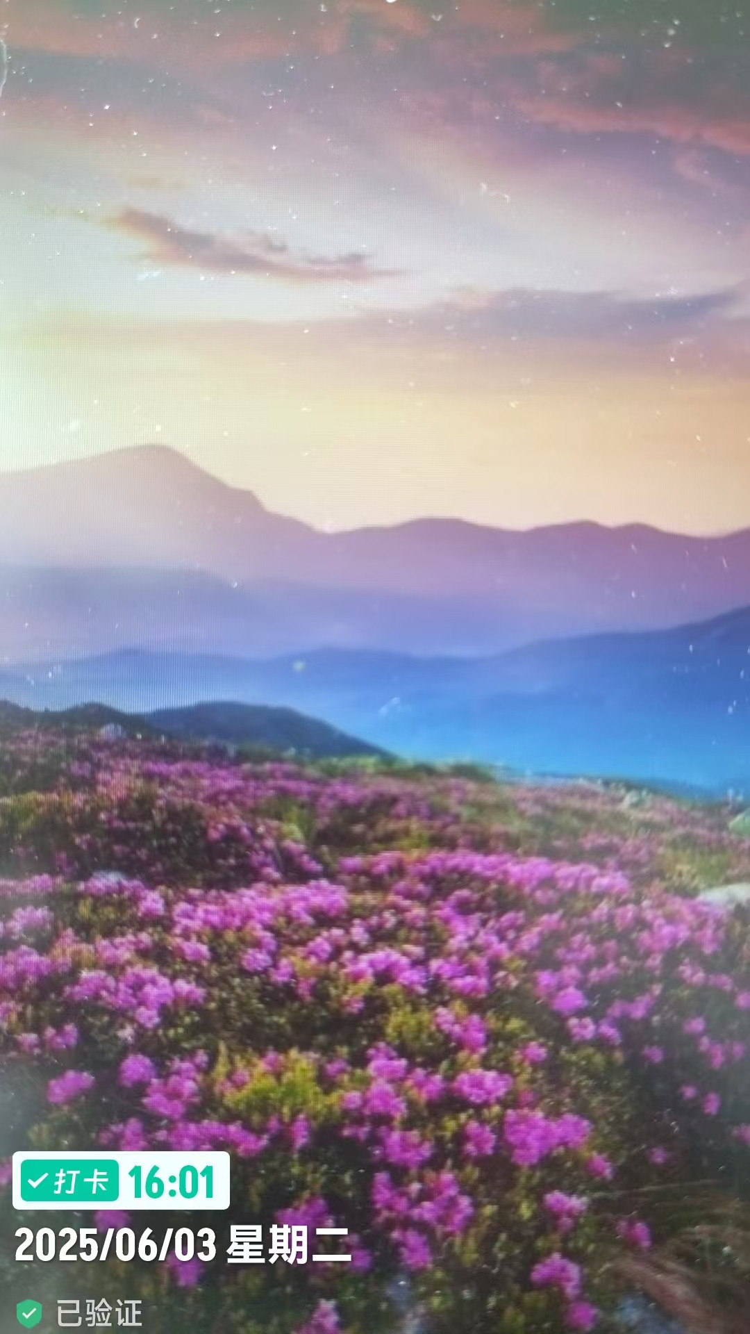 工程水印相机打卡拍照截图