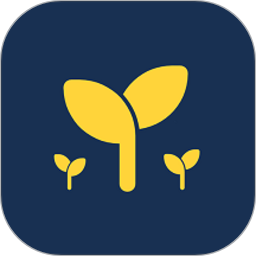 苔米日常电脑版