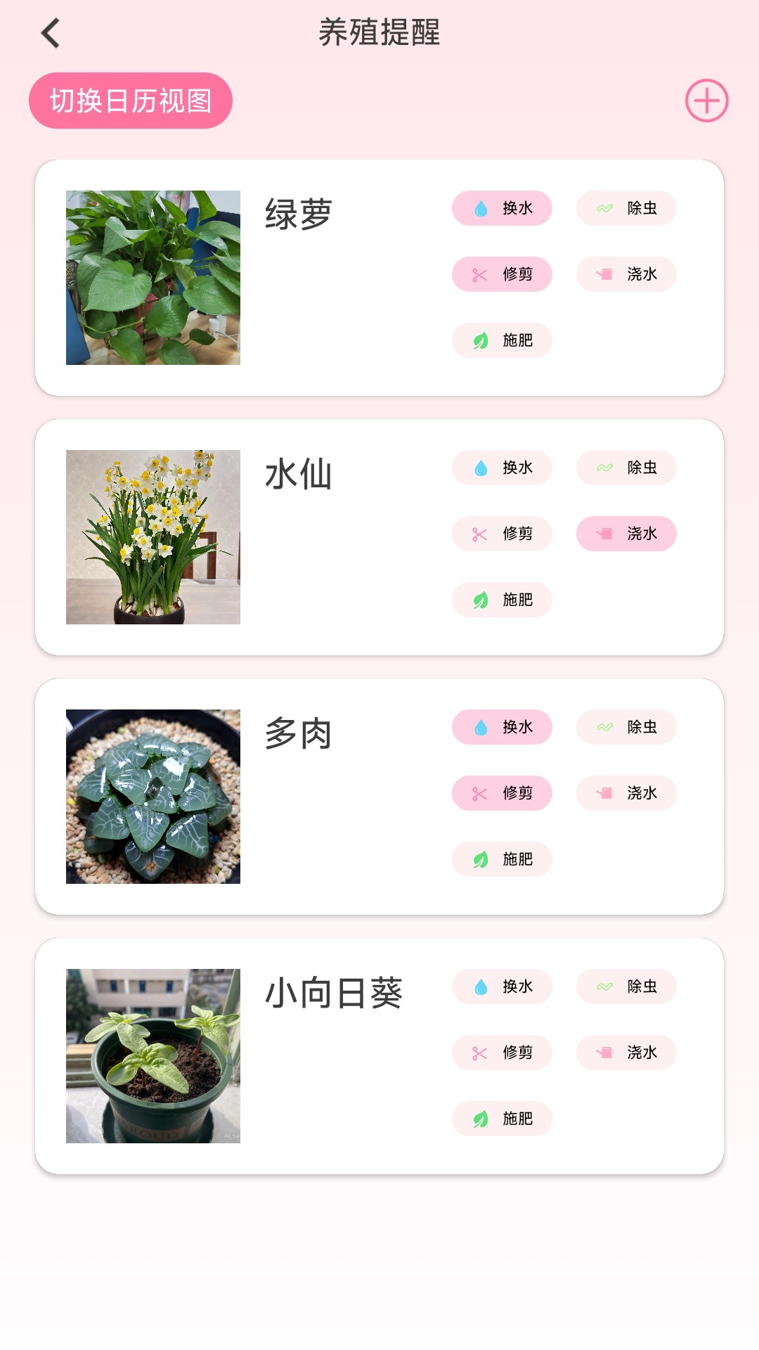 花开满堂截图