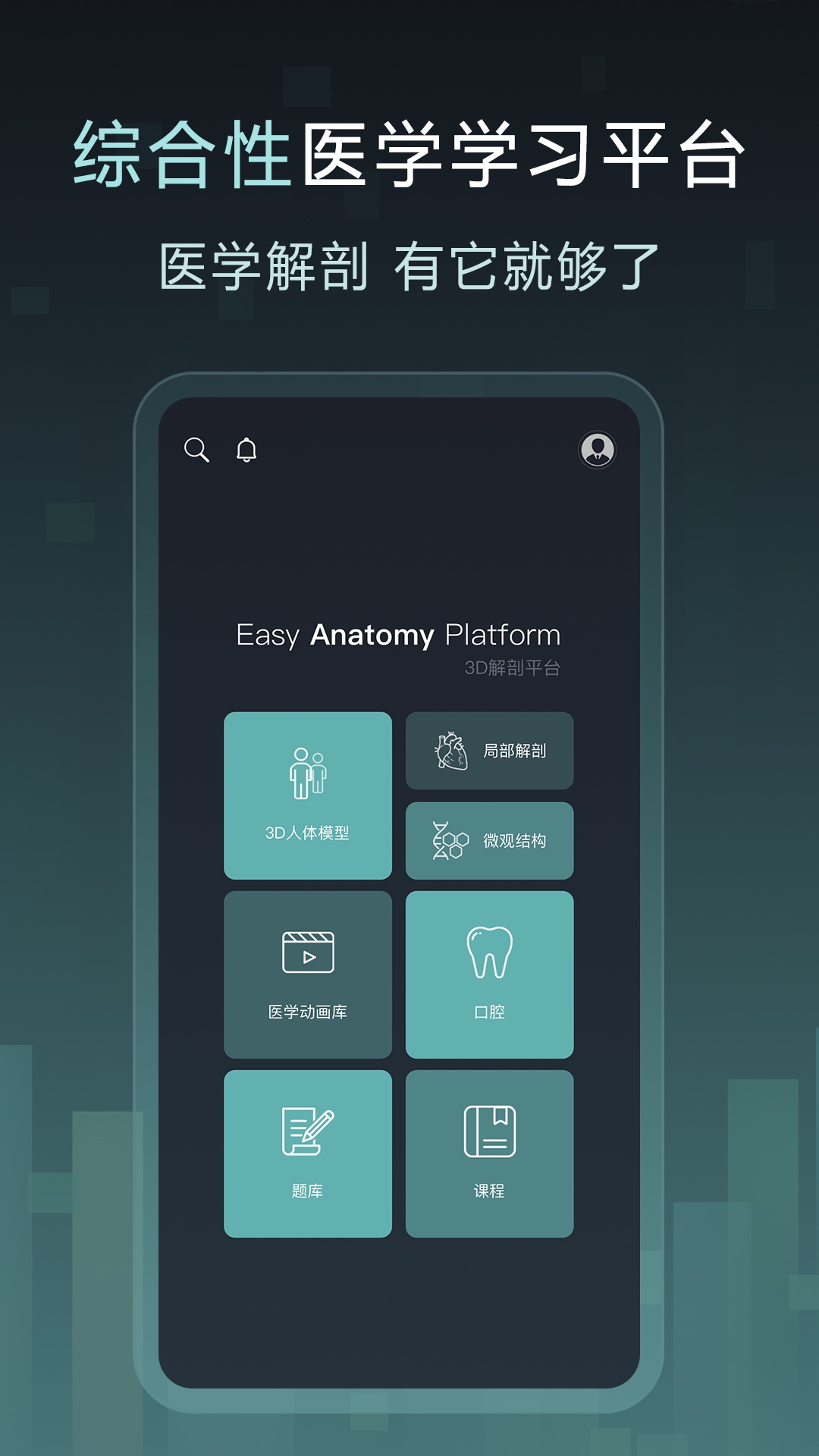 Easy解剖截图