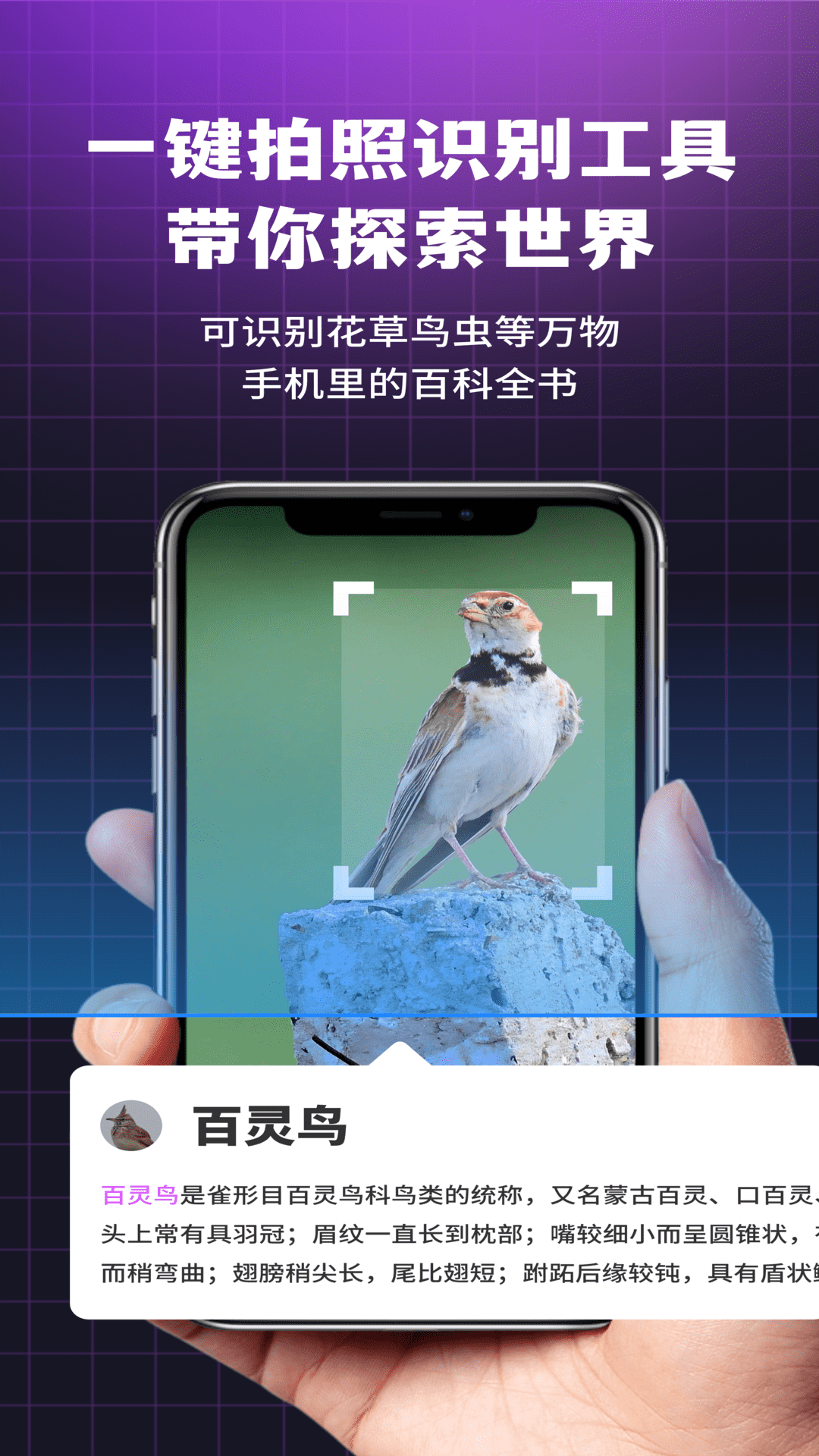 i浏览器无痕版截图
