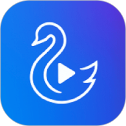 天鹅视频电脑版
