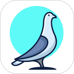 鸽手电脑版