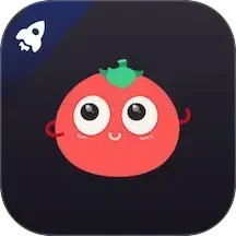 番茄加速器电脑版