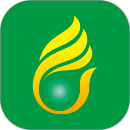 上海燃气电脑版