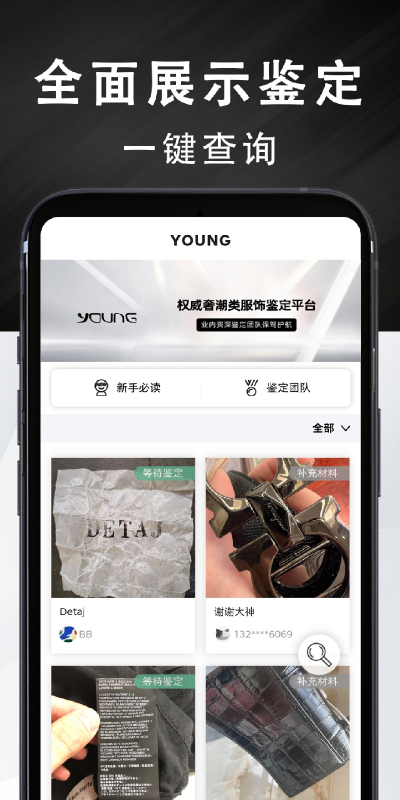 Young截图