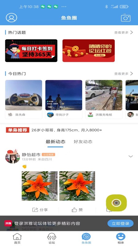 洪雅论坛截图