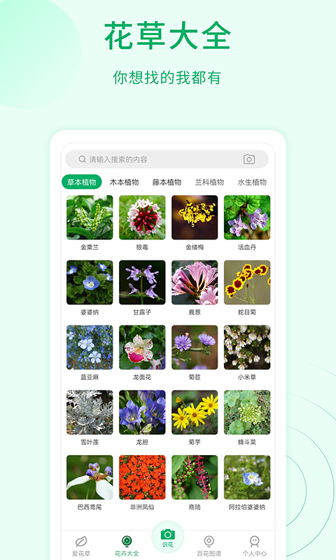 花草识别截图