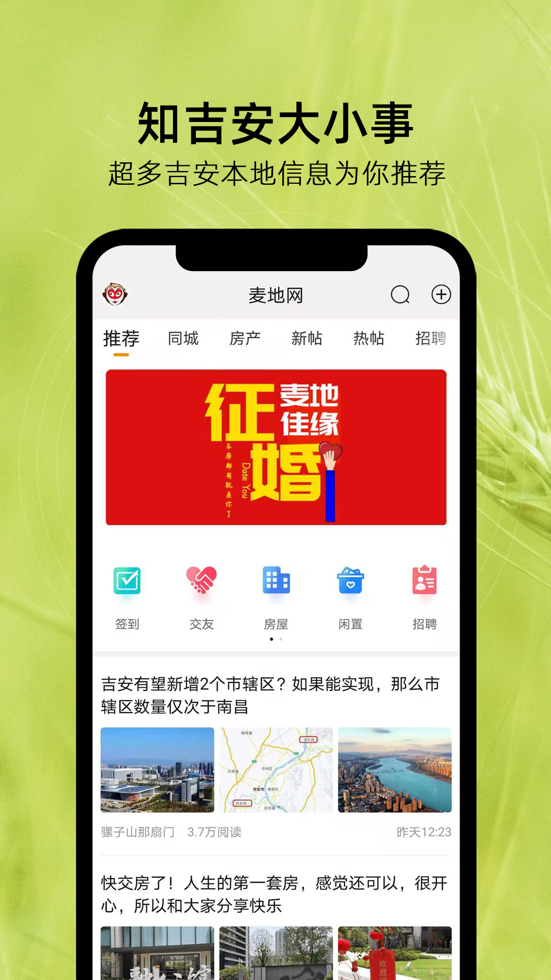 麦地网截图