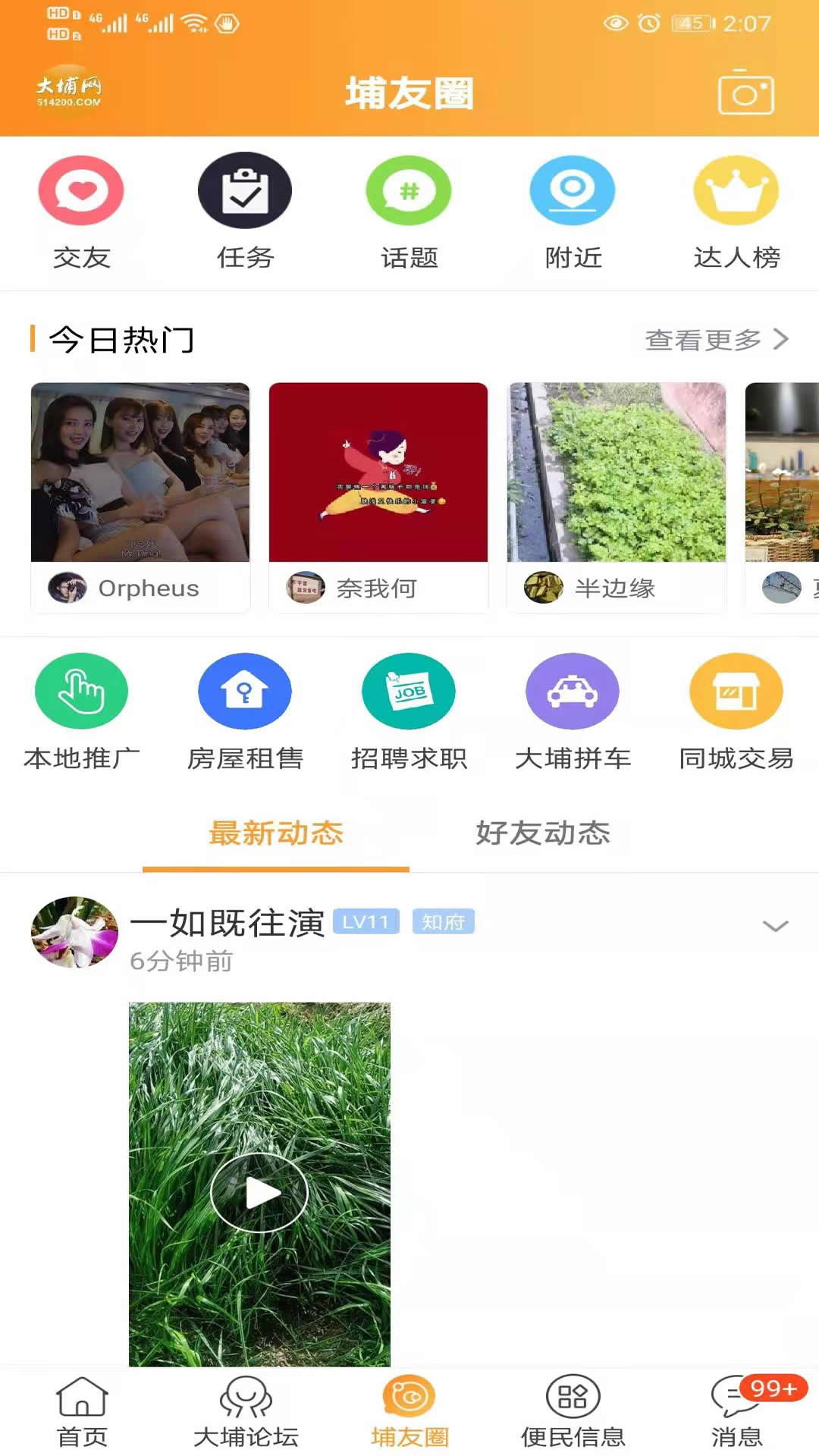 大埔网截图