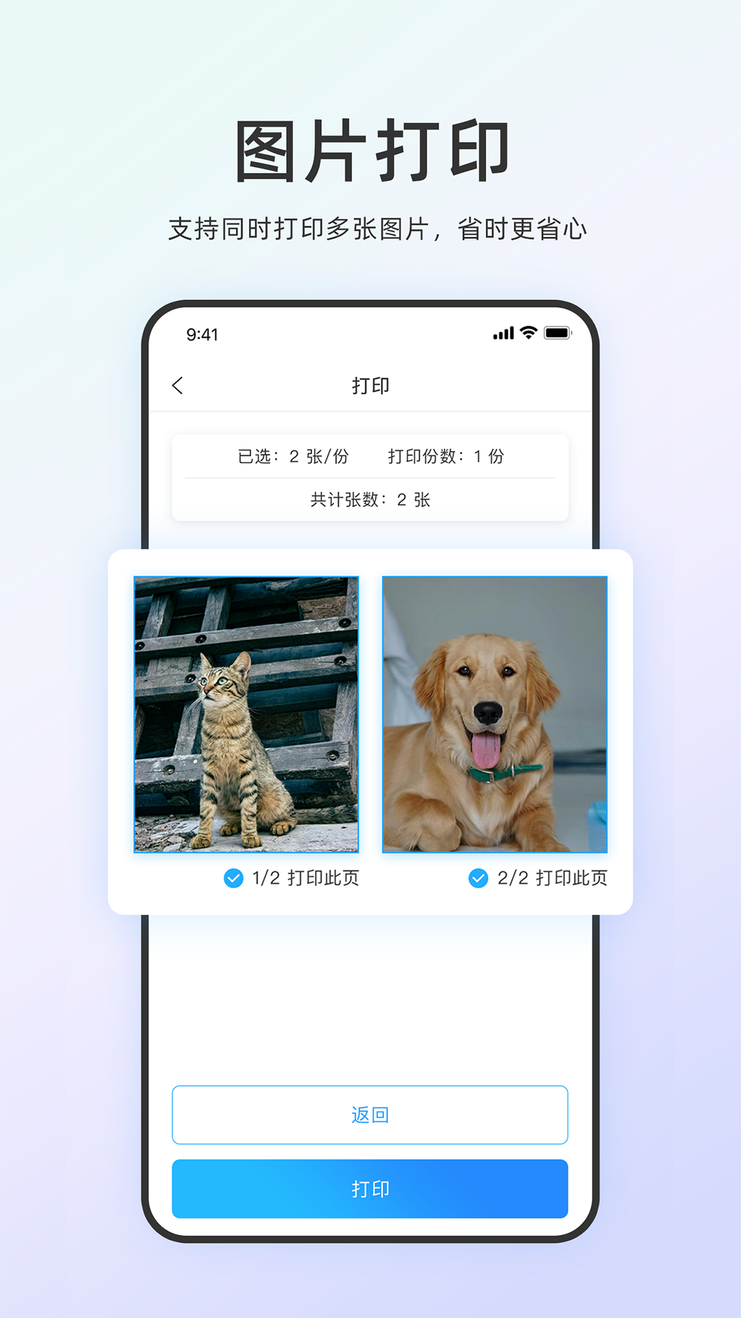 链科云打印截图