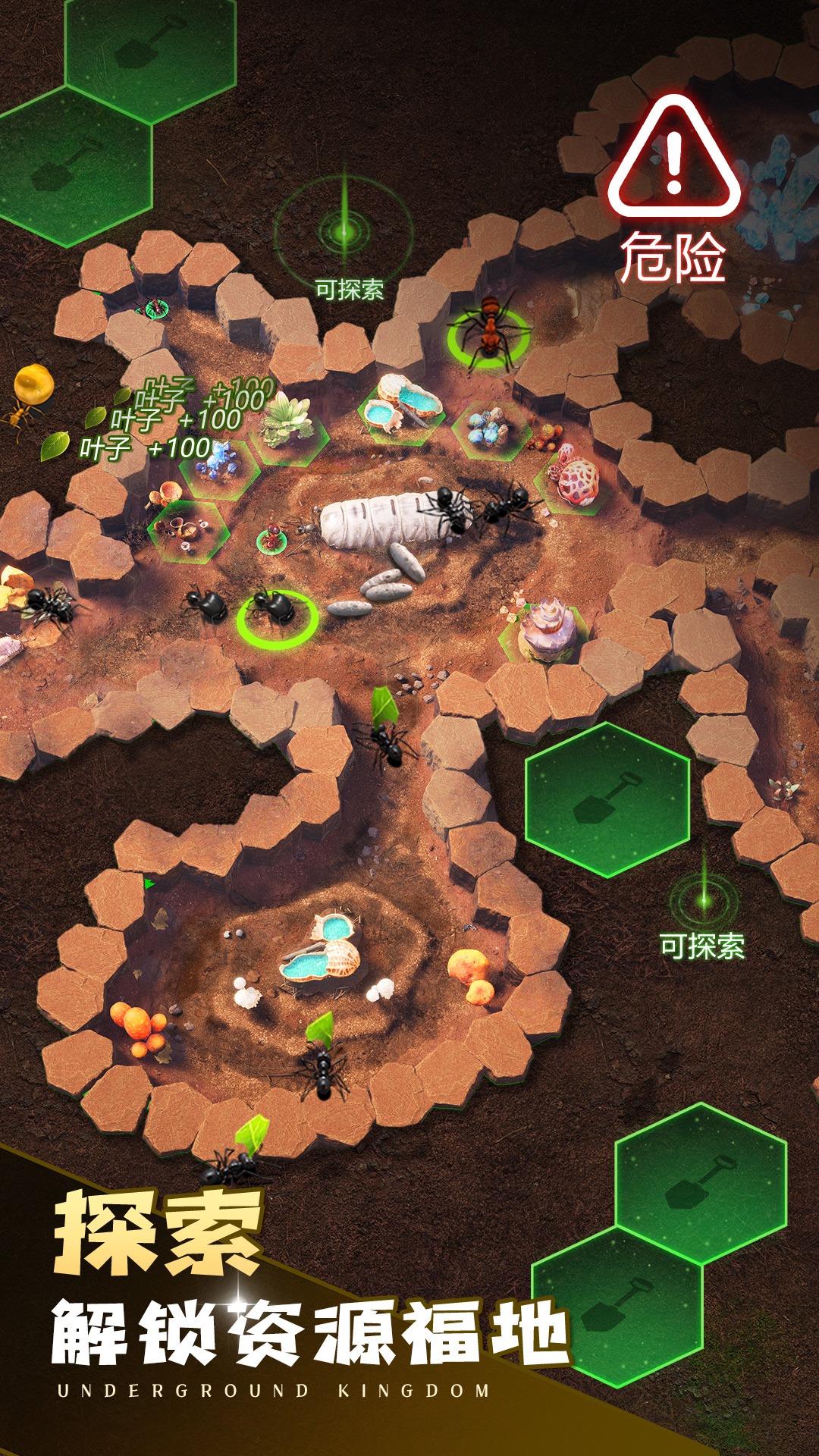 小小蚁国:送648元金甲蚁截图