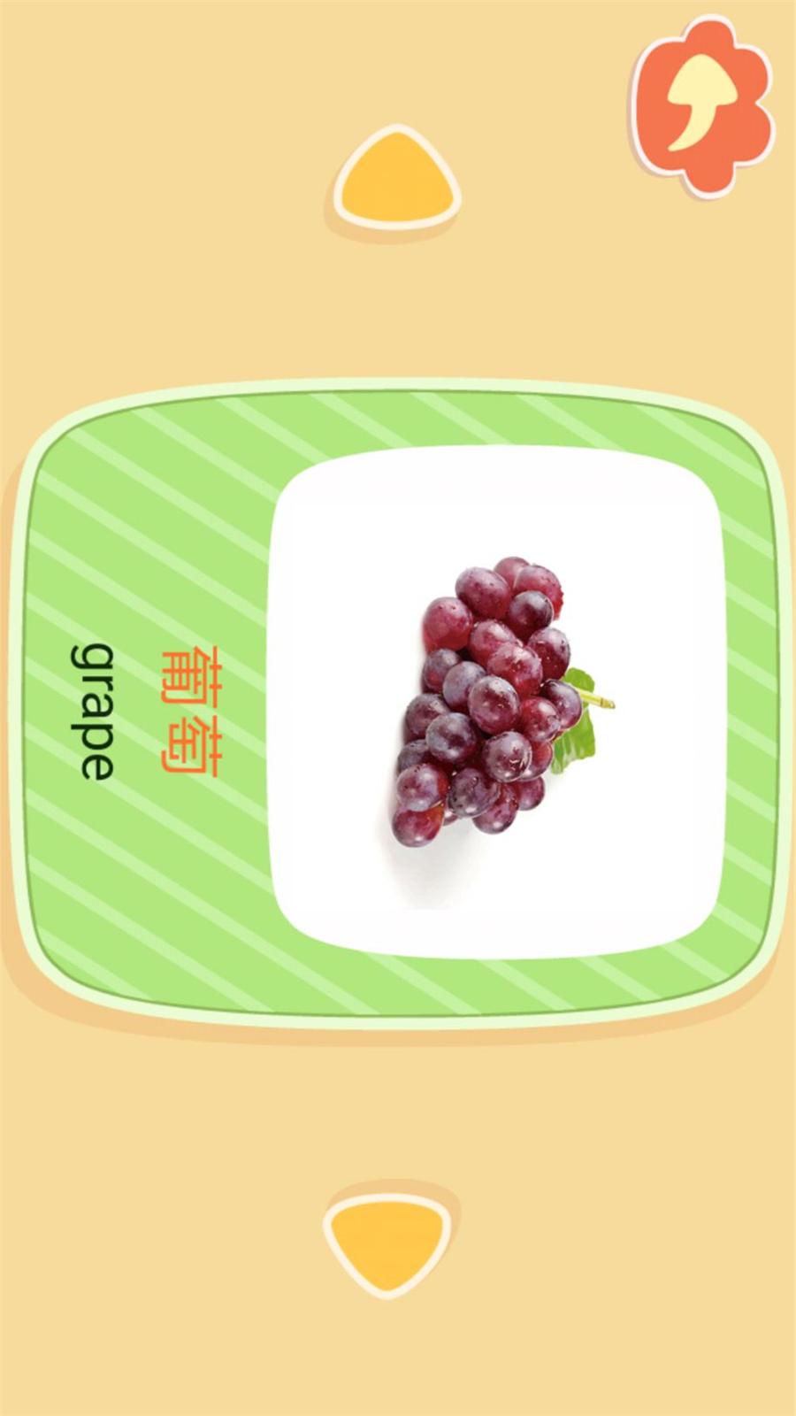 亲亲熊识字截图