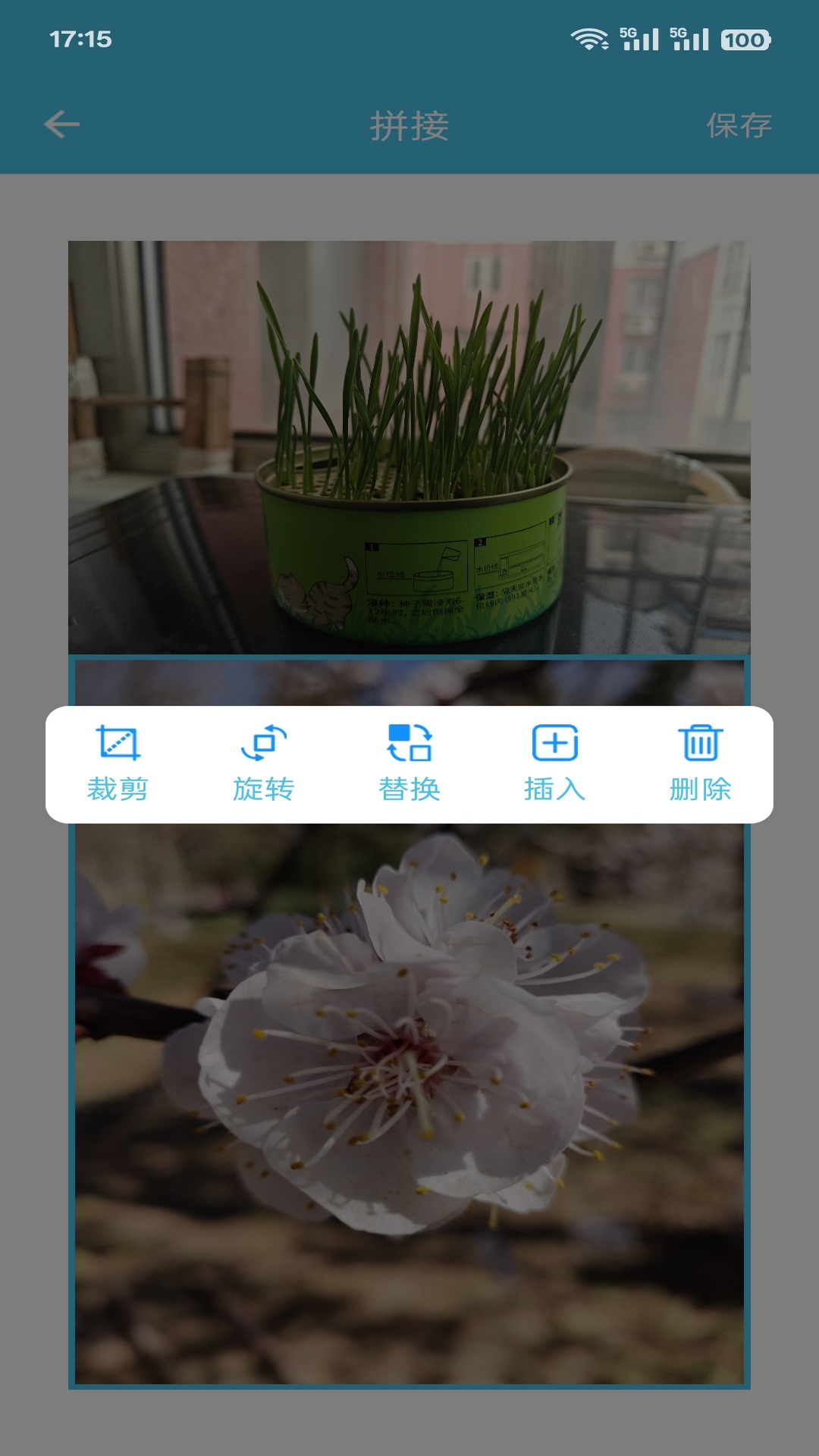 微信群发助手截图