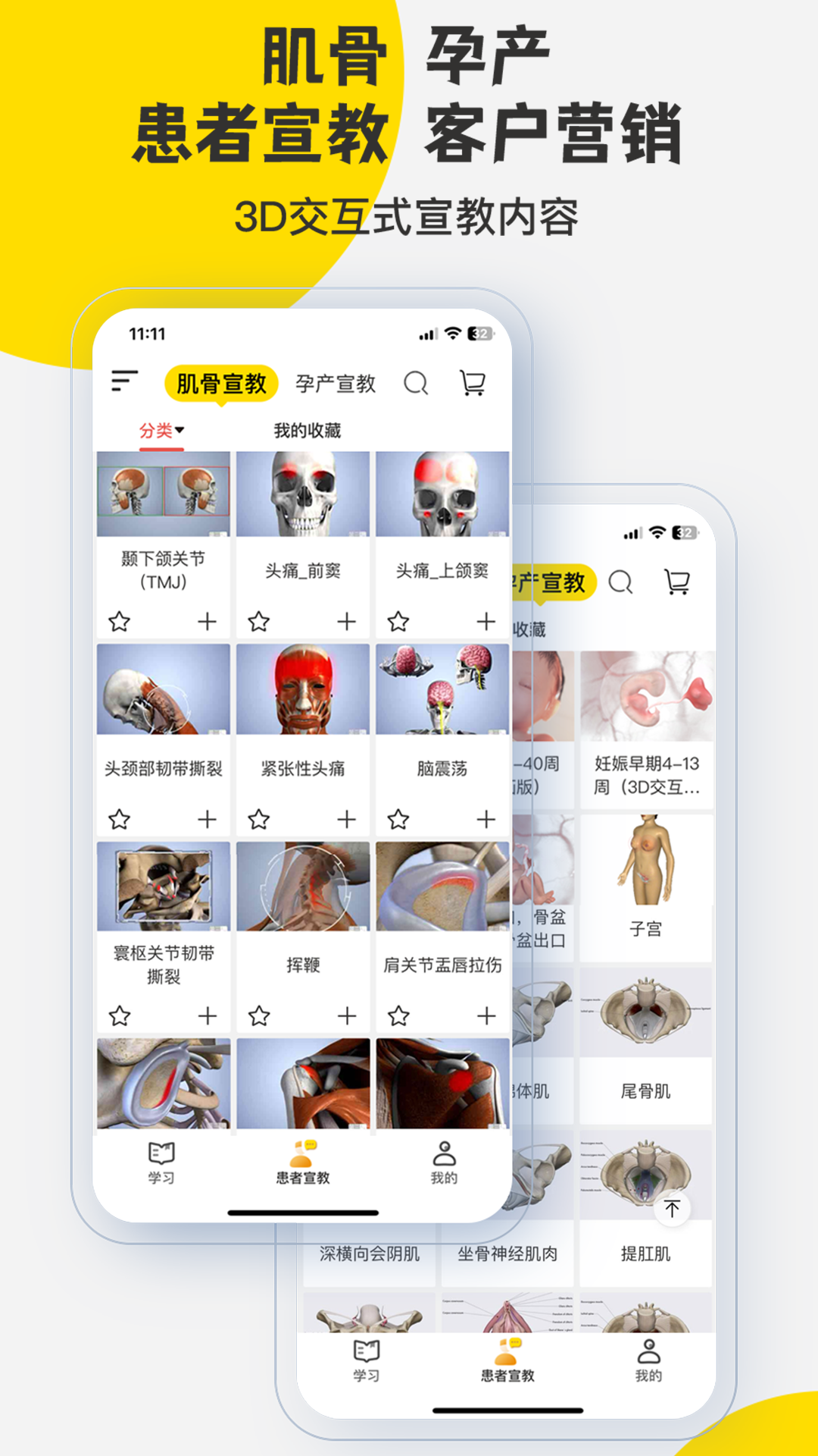3dbody解剖学专业版截图