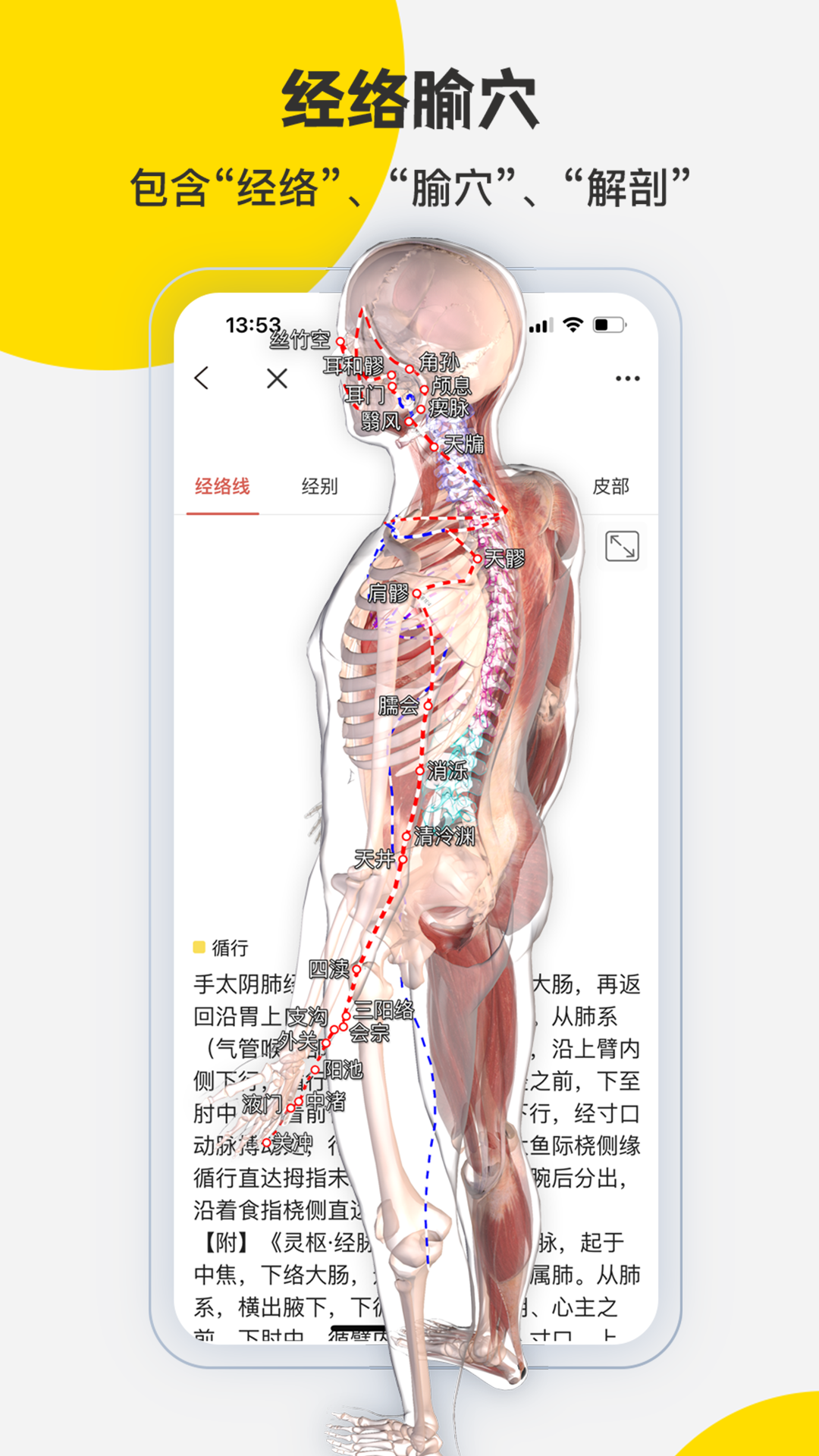 3dbody解剖学专业版截图