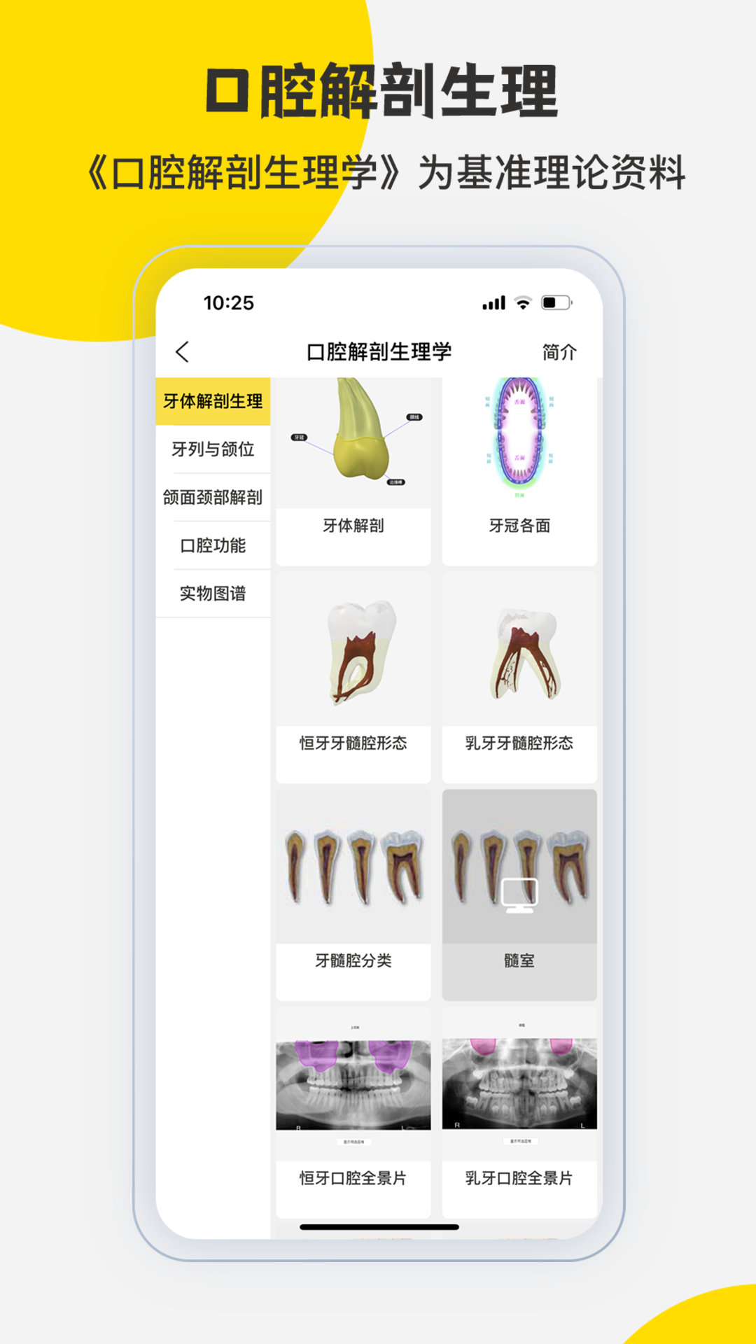 3dbody解剖学专业版截图