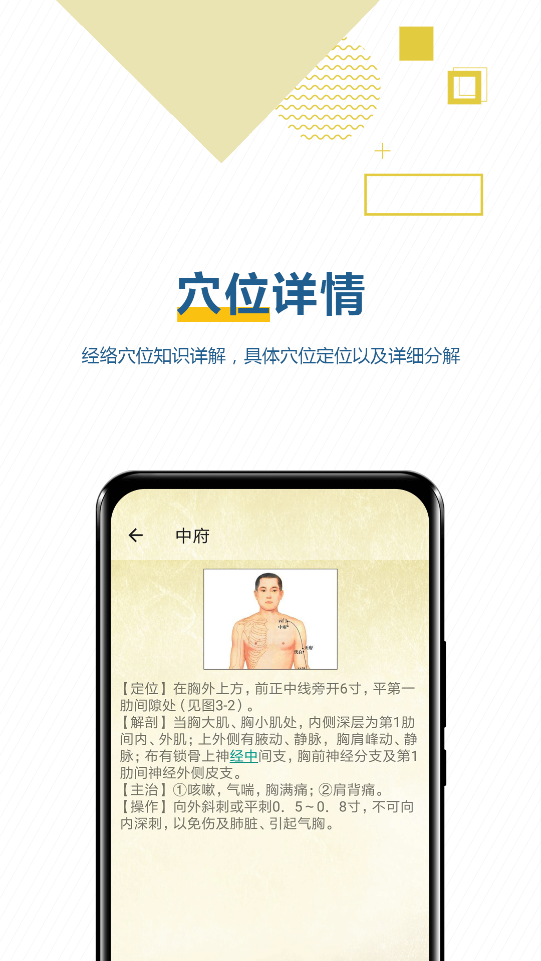 穴位按摩宝典截图