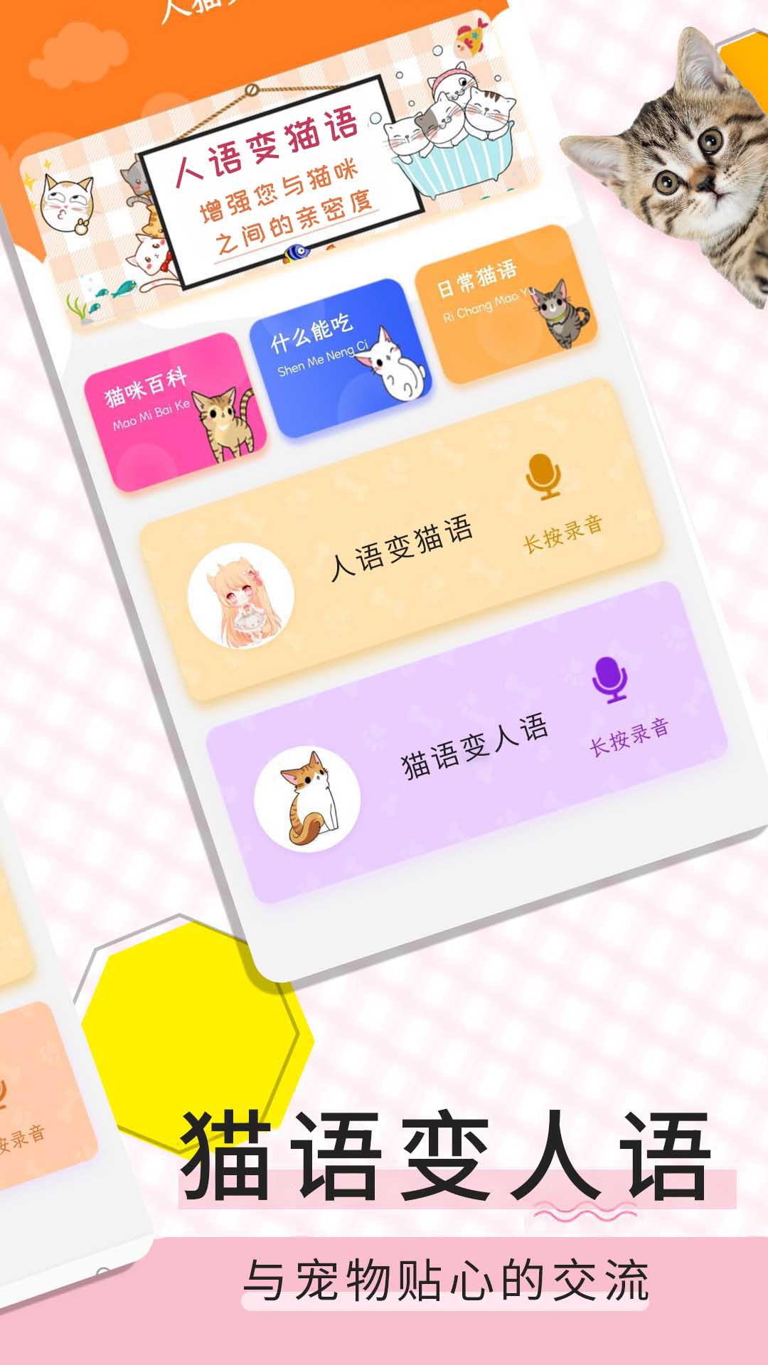 猫语翻译宝截图