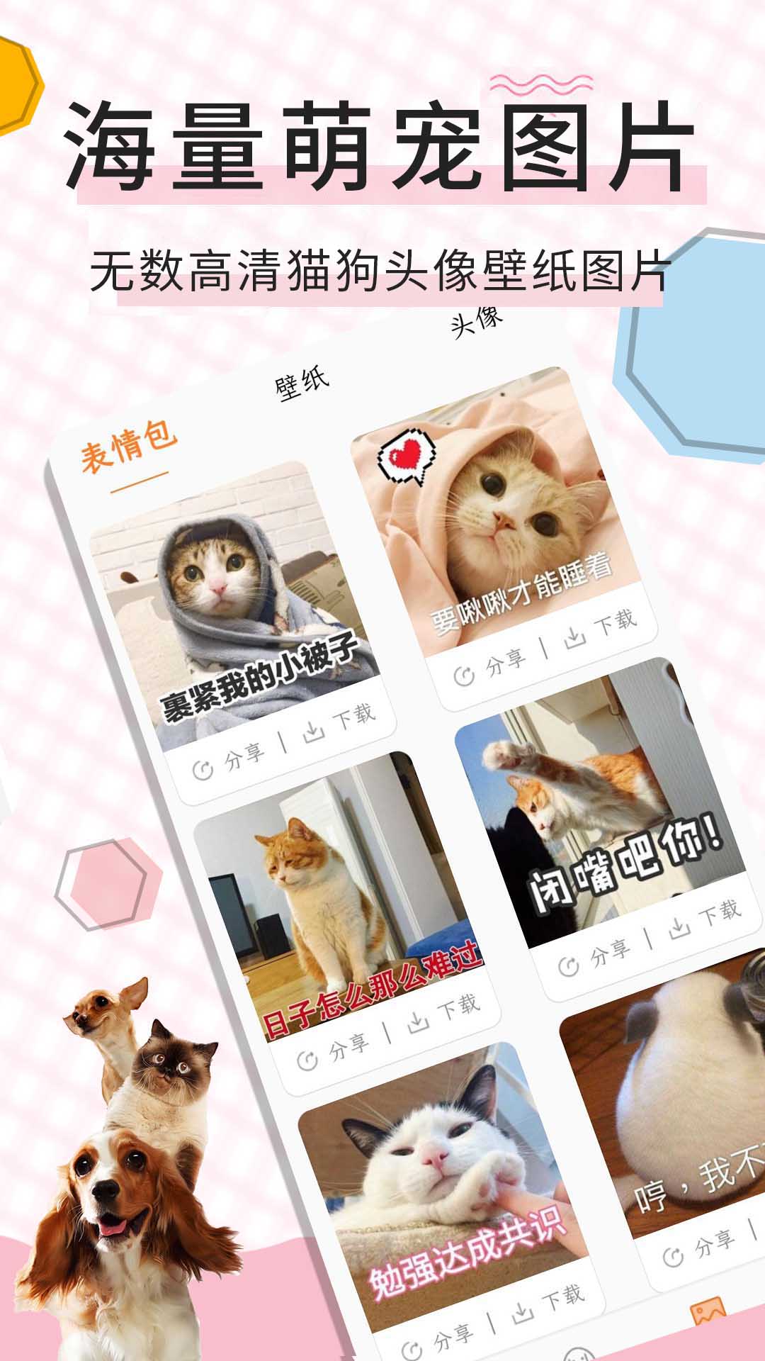 猫语翻译宝截图