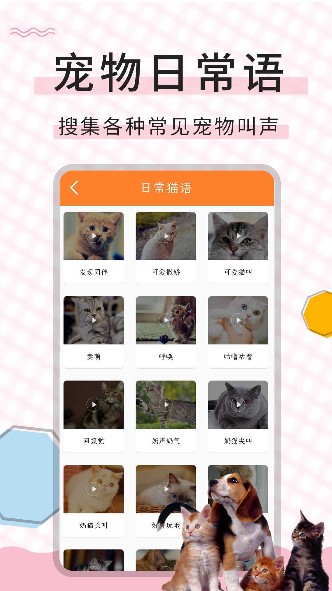 猫语翻译宝截图