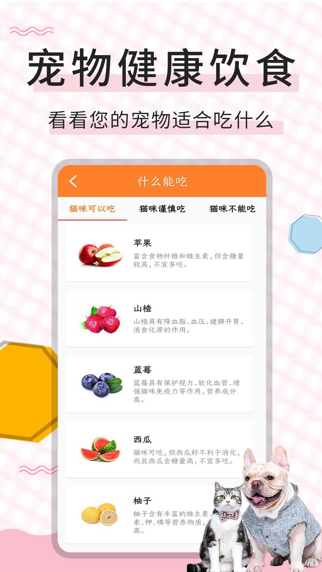 猫语翻译宝截图