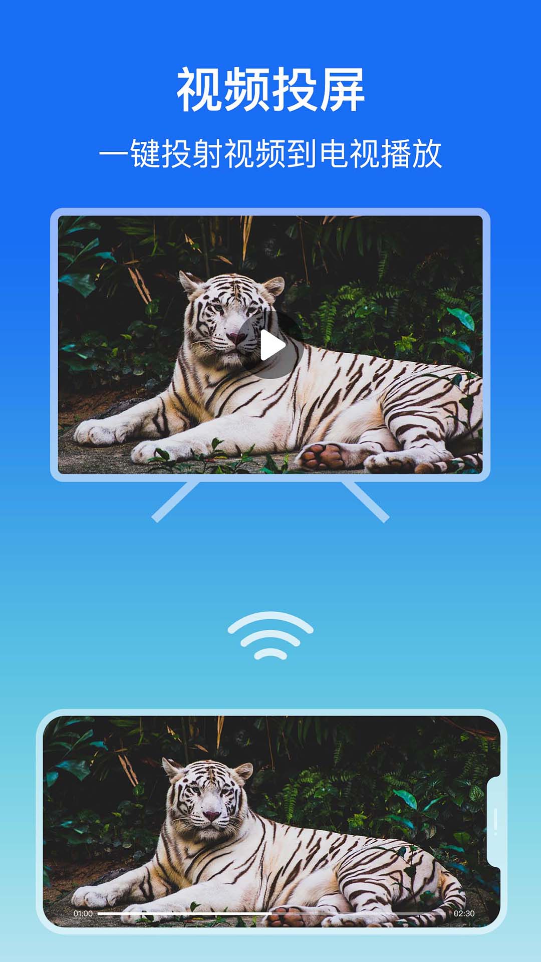 lbtp屏幕镜像截图