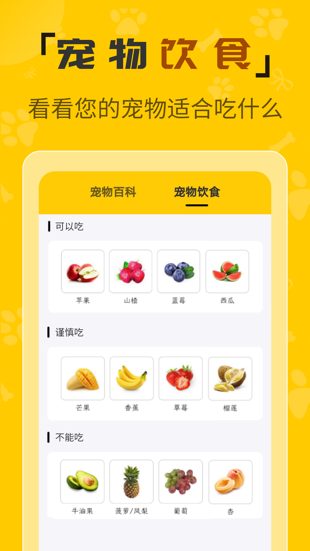 人猫翻译机截图