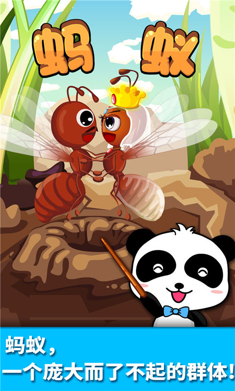 宝宝认蚂蚁截图