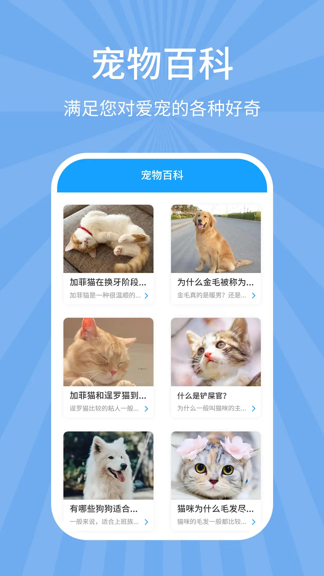狗猫翻译器截图