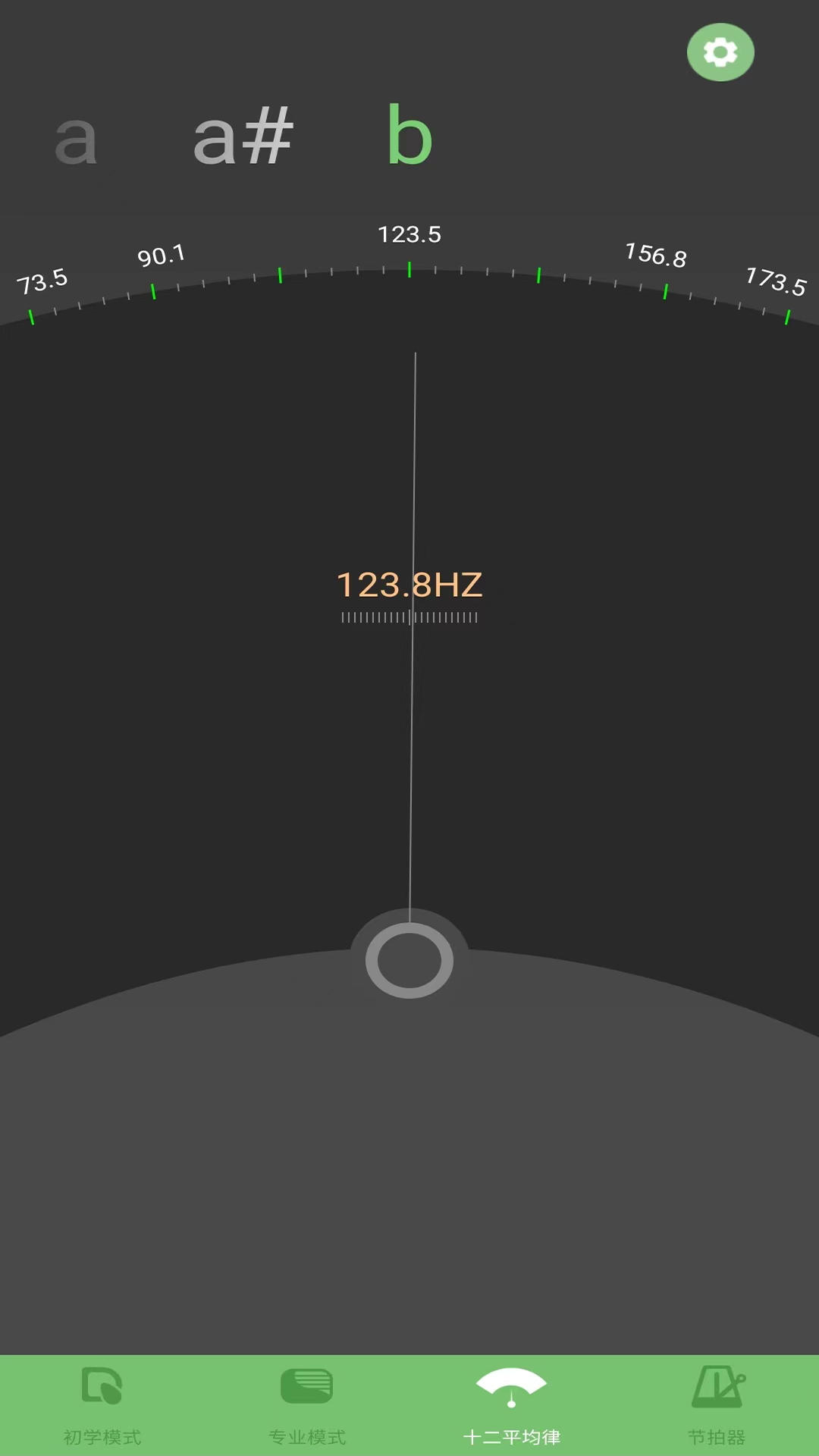 智能琵琶调音器截图