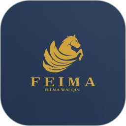 飞马外勤电脑版