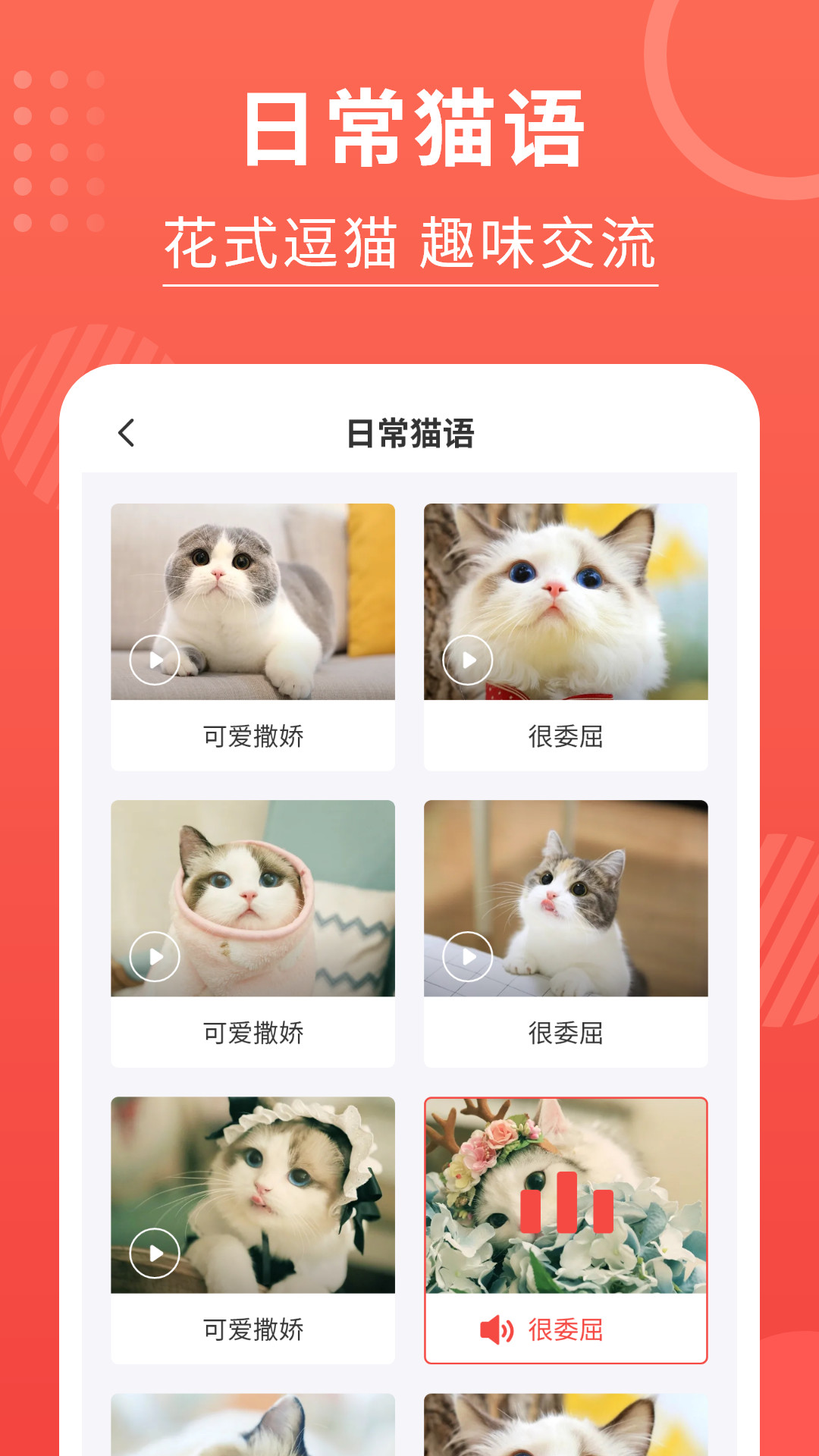 猫猫翻译器截图