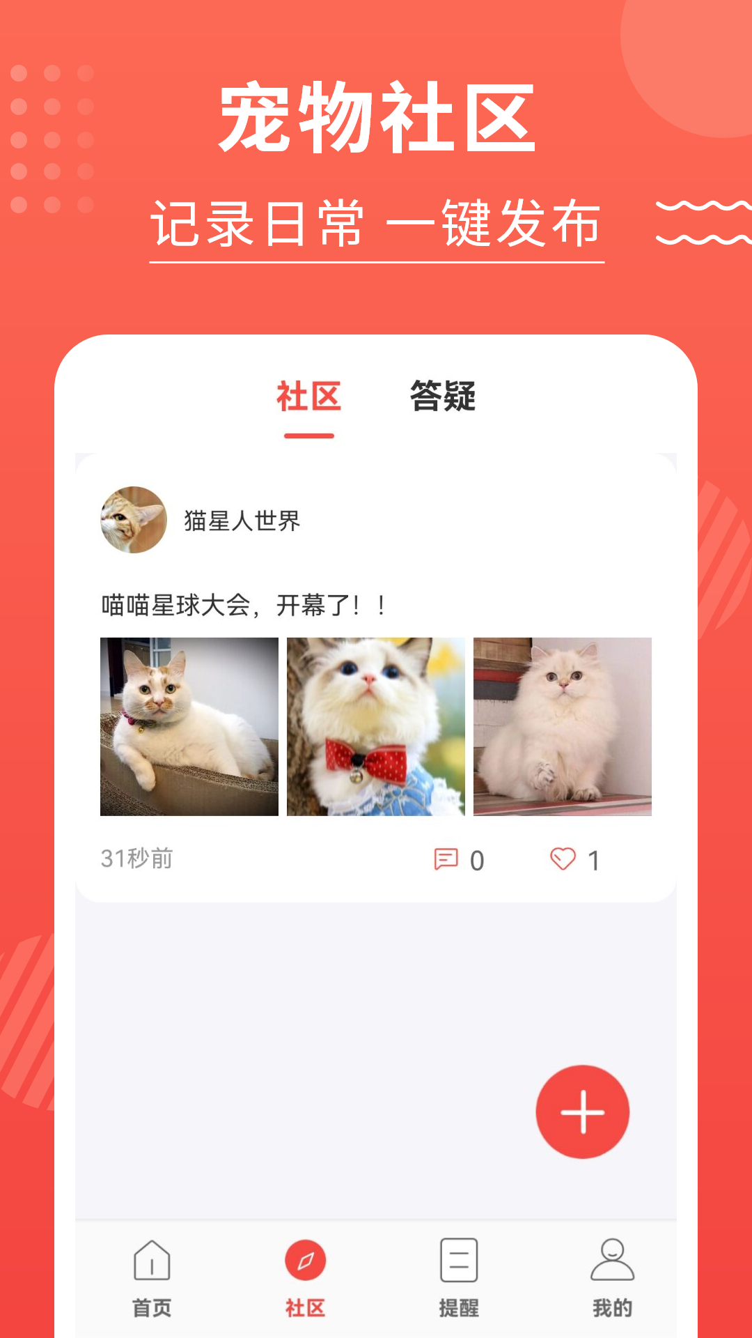 猫猫翻译器截图