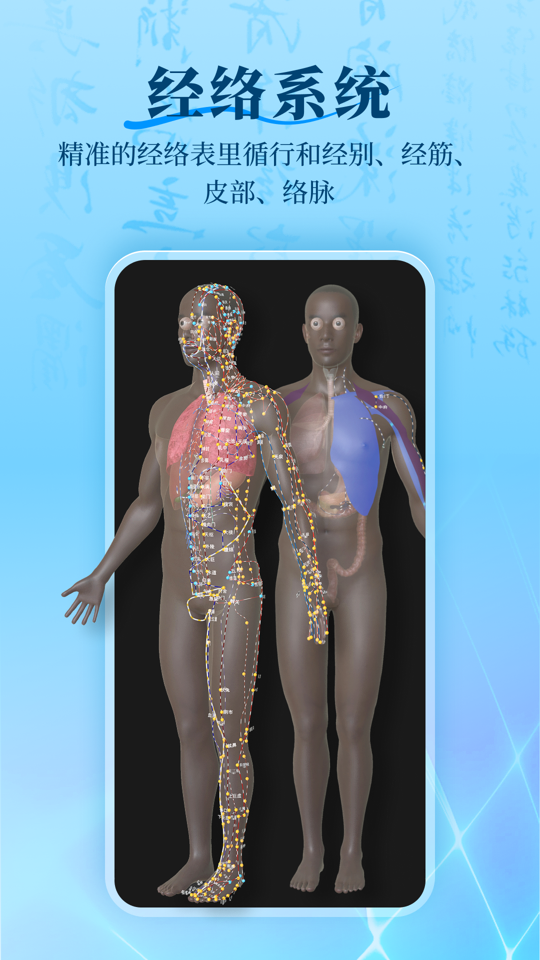 针灸大师截图