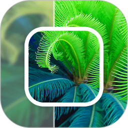 模糊照片修复电脑版