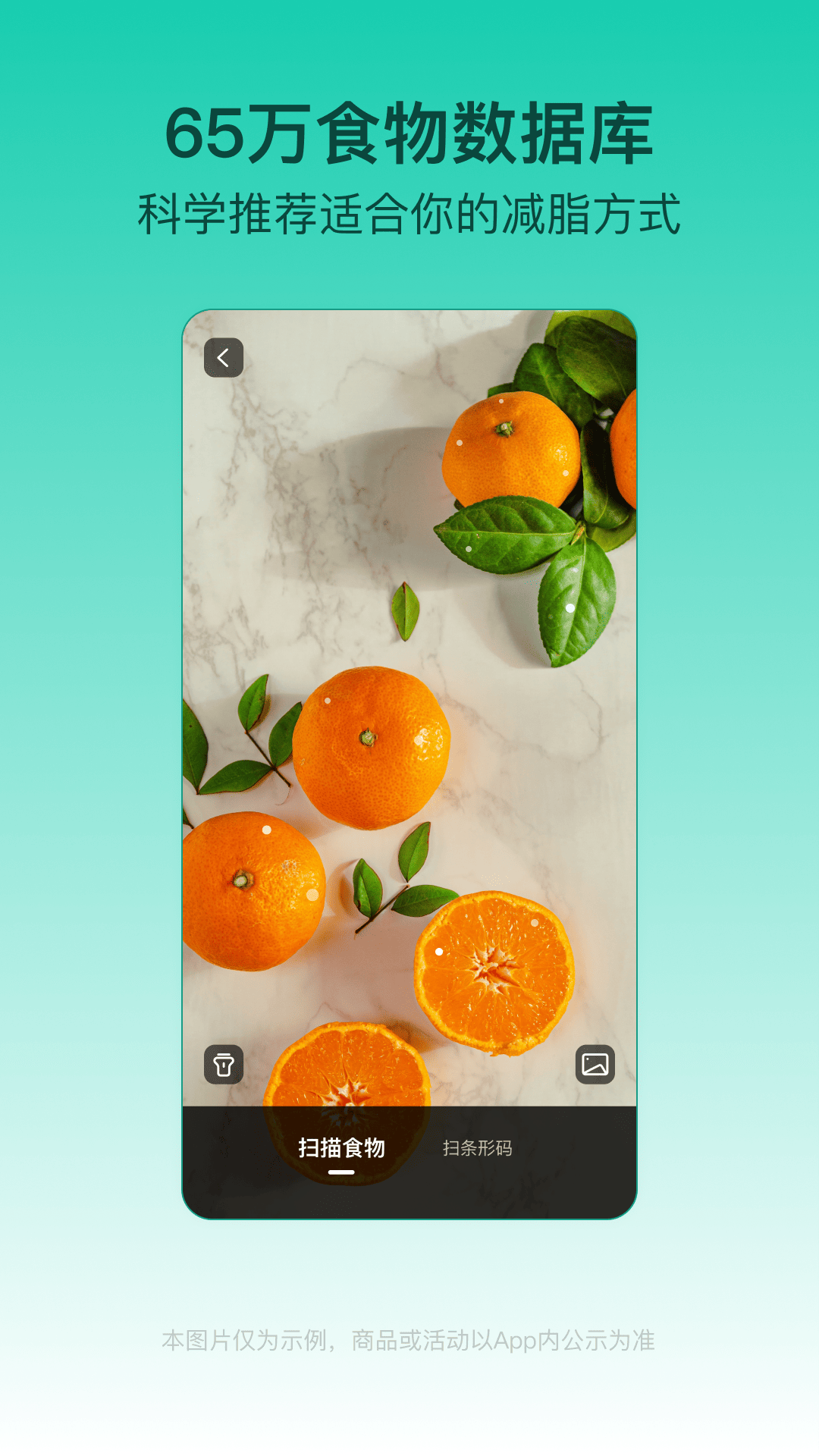 LEFU热量减肥法截图