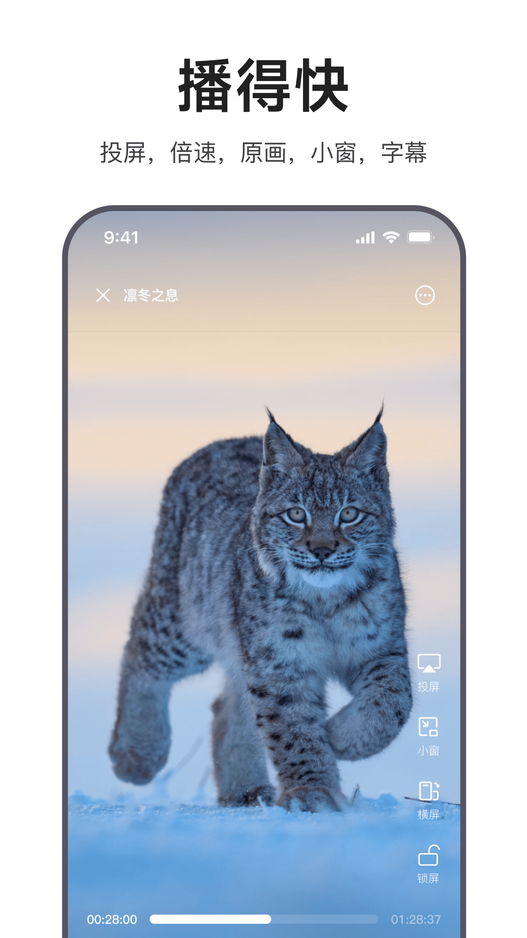 迅雷浏览器截图