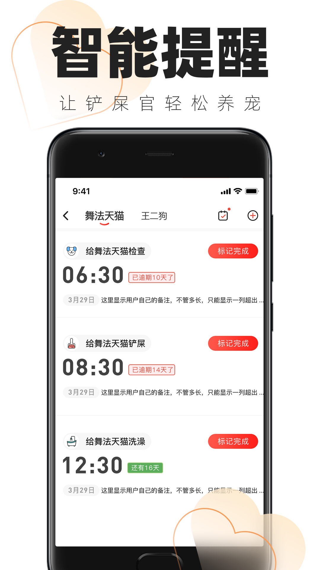 铲屎官的日常截图