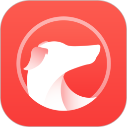 灵缇游戏加速器电脑版