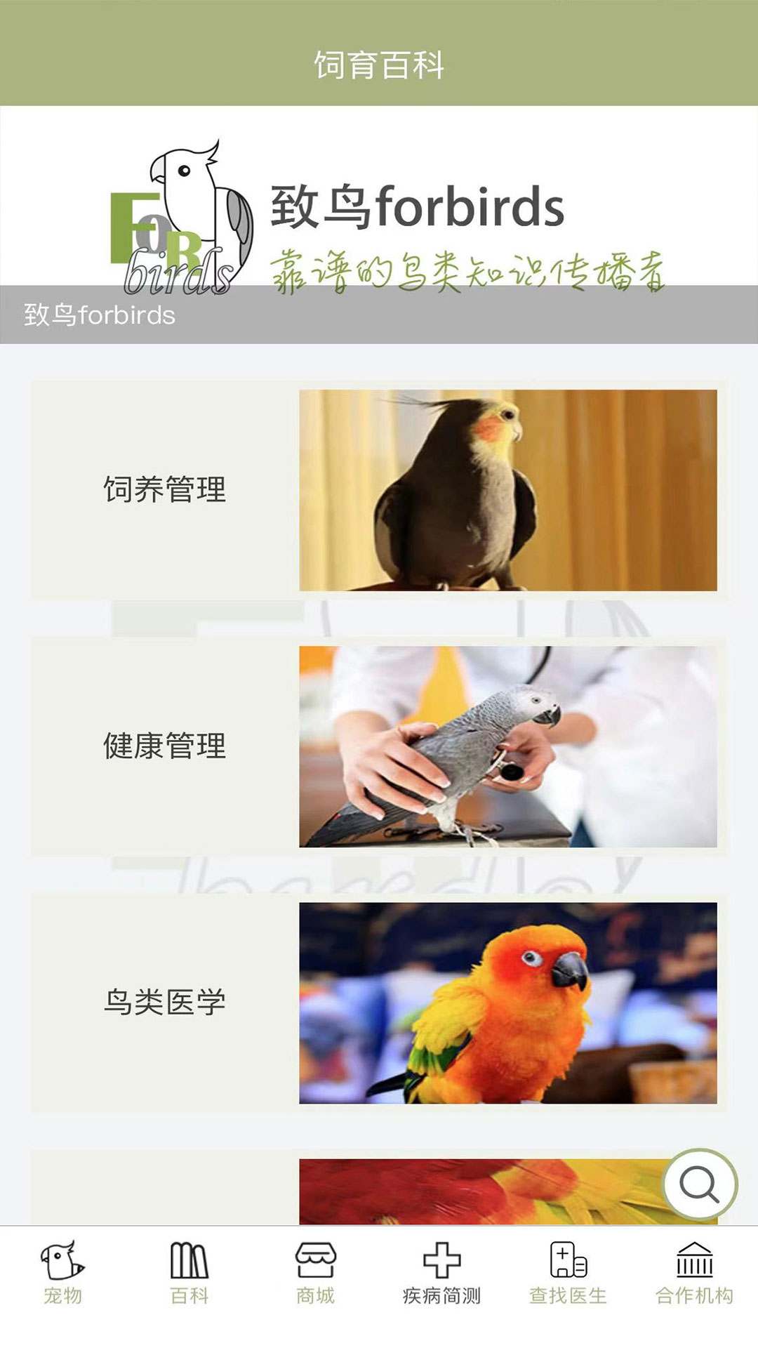 致鸟forbirds截图