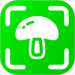 蘑菇识别电脑版