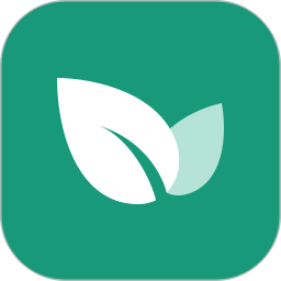 青藤之恋电脑版